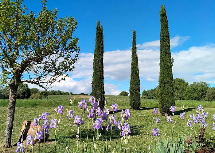 Nobile Cortona